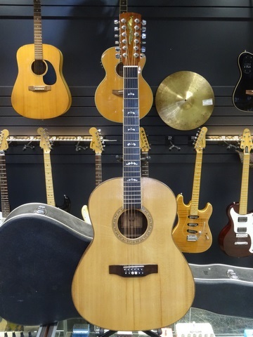 Instruments - Guitares 12 cordes - Acoustiques  