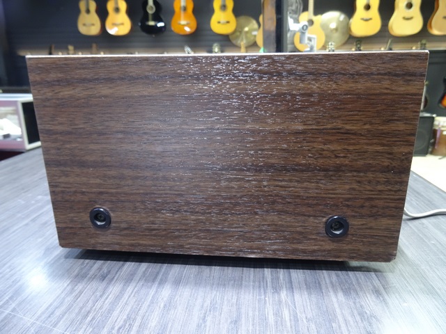 Récepteur AM/FM (Tuner) Vintage - Image 3