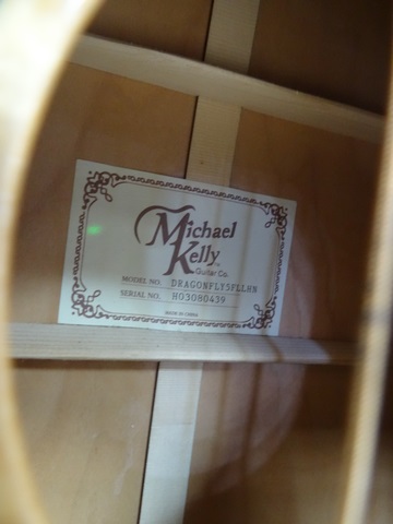 Basse Électro acoustique gauchere 5 cordes (Fretless) - Image 2