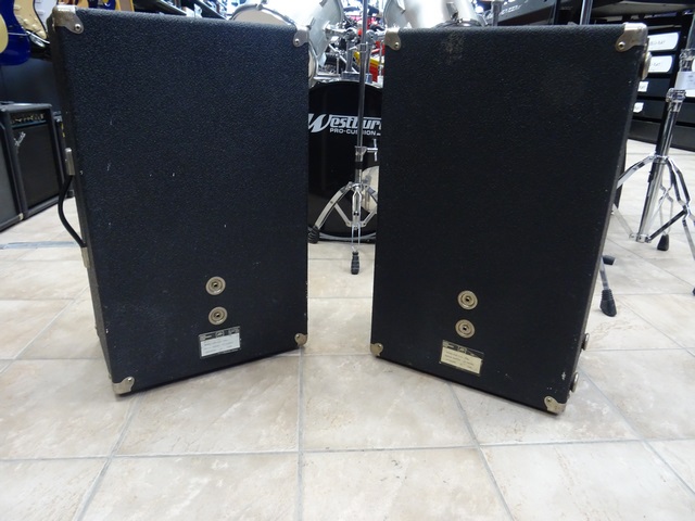 ( 70 Watts X 2) Paire de Cabinet 2x10 - Image 2