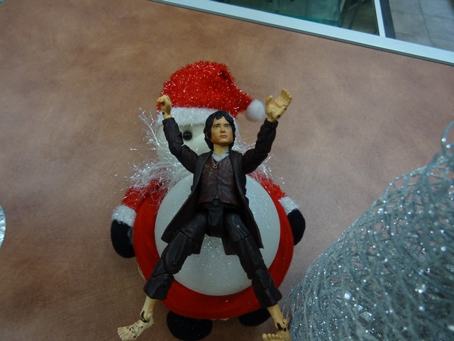 Frodon (loose) - Image 3