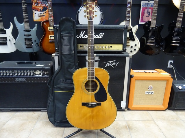 Guitare Acoustique Vintage Japan