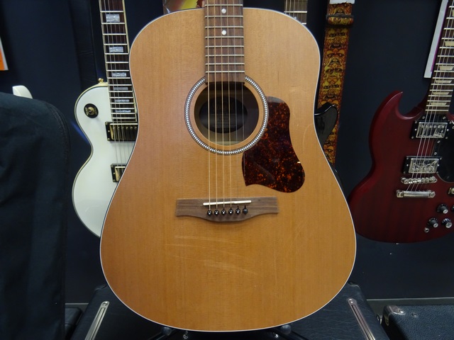 Guitare Acoustique - Image 3