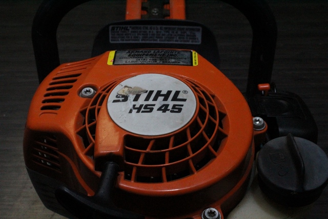 TAILLE HAIE CÈDRE - Image 2