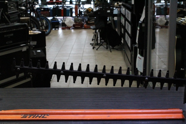 TAILLE HAIE CÈDRE - Image 3