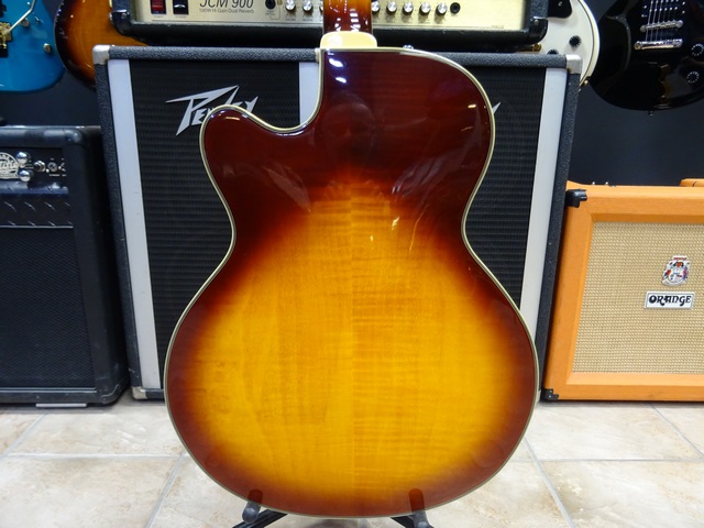 Guitare Électrique Hallow Body - Image 4