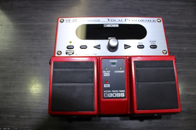 VOCAL PERFORMER - Image 3