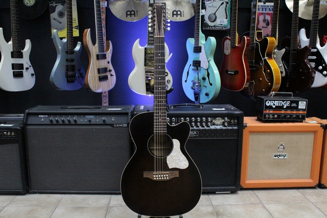 Guitare Électro Acoustique 12 cordes