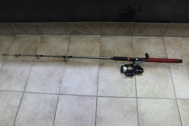 Canne a Peche + Moulinet