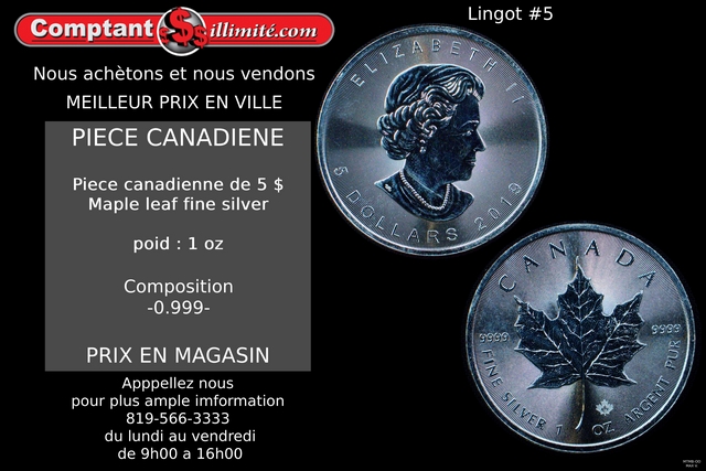 Pièce de monnaie 1 Once Pure .999