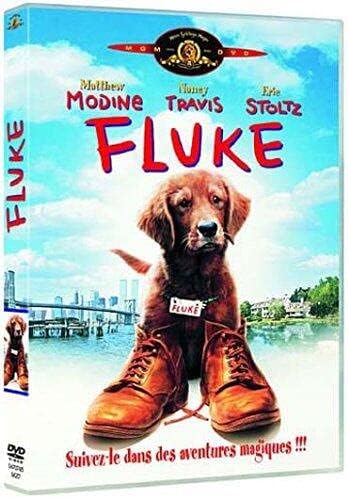 Fluke