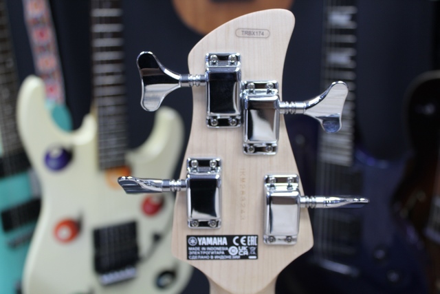 Basse Electrique - Image 4