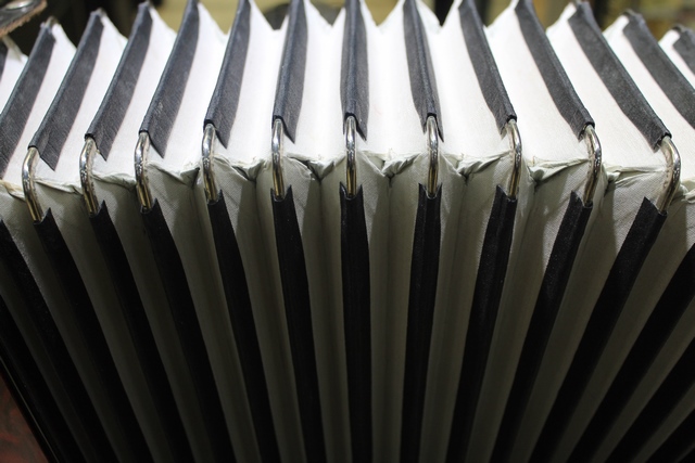 Accordeon Piano - Image 3