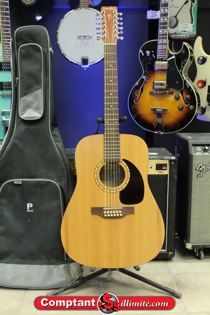 Guitare Acoustique 12 Cordes