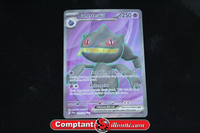 Carte Pokemon Banette Ex 229/198