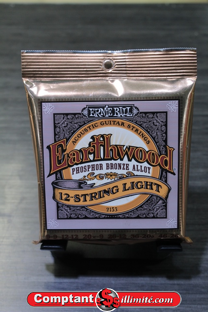 corde pour guitare 12 cordes 