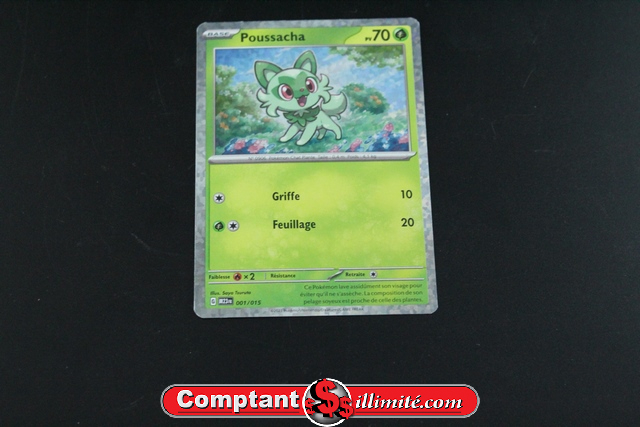 Poussacha Francais 001/015 (holo)