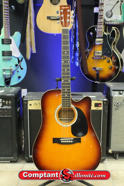 Guitare Acoustique Azalea w-01c - Image 1