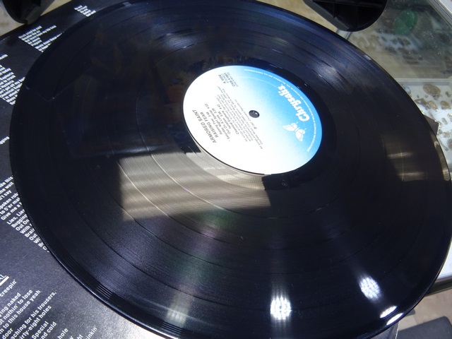 Armored Saint raising fear chrysalis vinyl - Image 4
