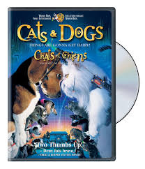 Chats et chiens Ils sont de mauvais poil DVD - Image 1