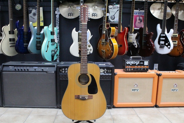 Guitare 12 Cordes Fender DG-01/12
