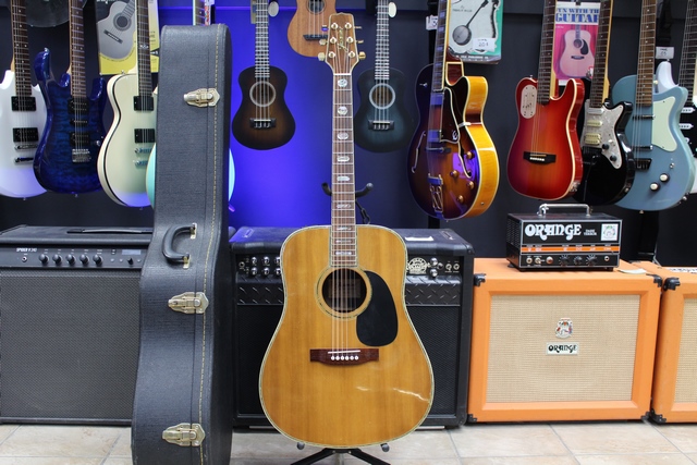 Guitare Acoustique Jasmine ES-1931Limited (1991)