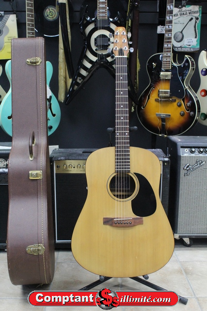 Guitare Acoustique Seagull SM - Image 1