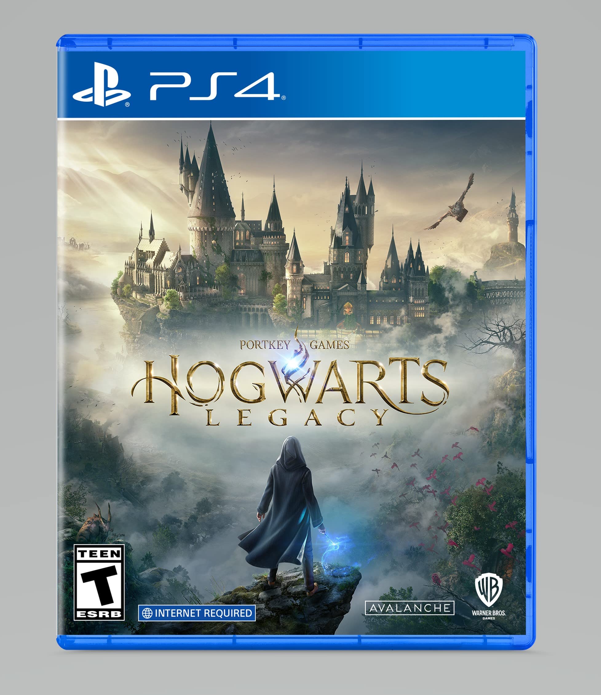 Hogwarts Legacy Sony PS4 - Image 1