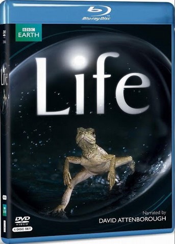 LIFE FILM BLURAY