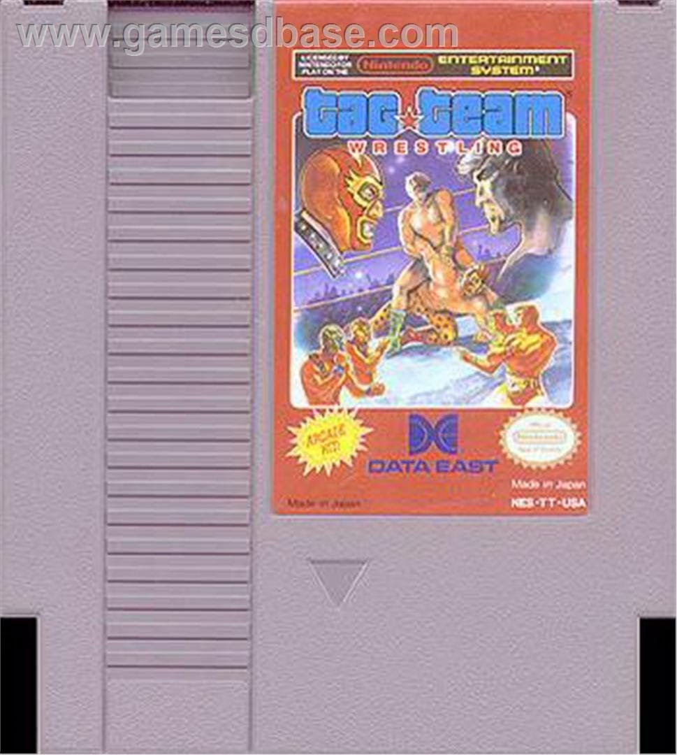 Tag Team Wrestling nintendo NES - Image 1