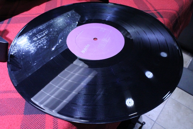 Ti-Blanc Richard Album Souvenir vinyl mérité - Image 4