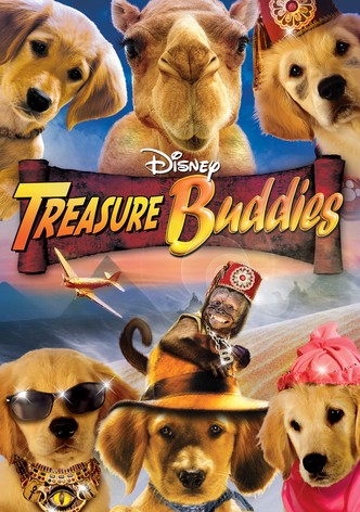 Treasure Buddies dvd