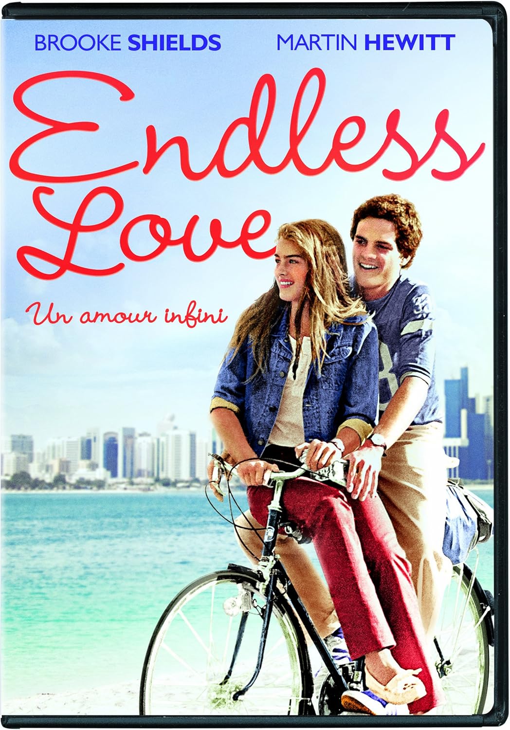Un amour Infini dvd film