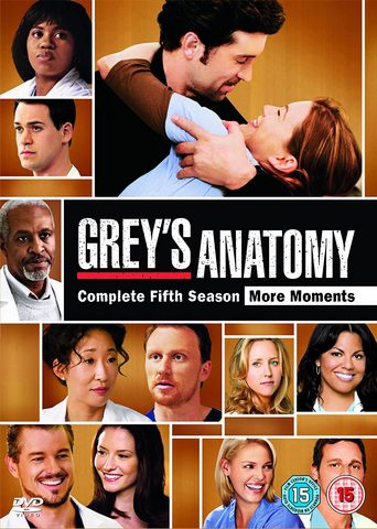 greys anatomy s5 film dvd