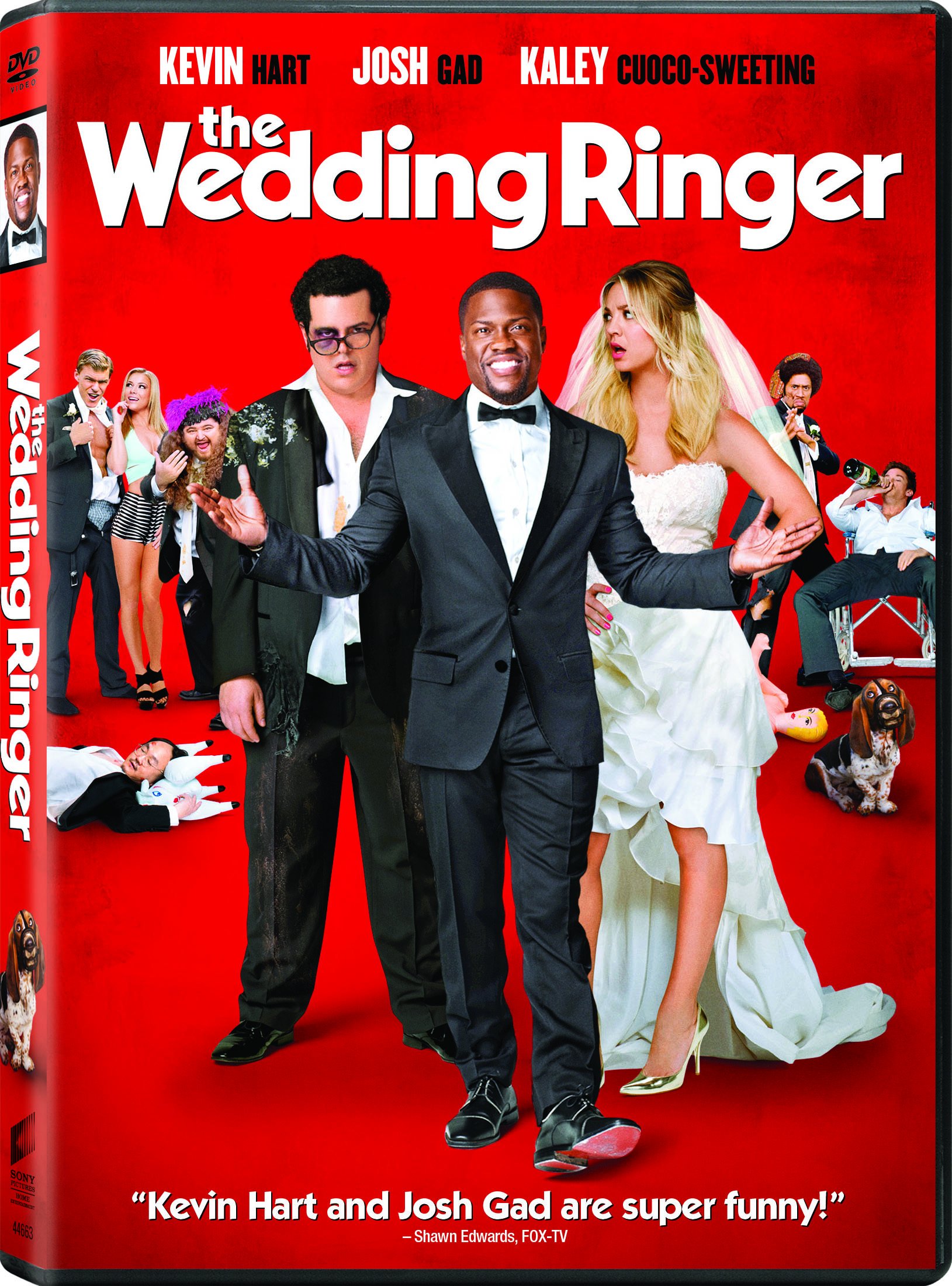 the wedding riger film dvd